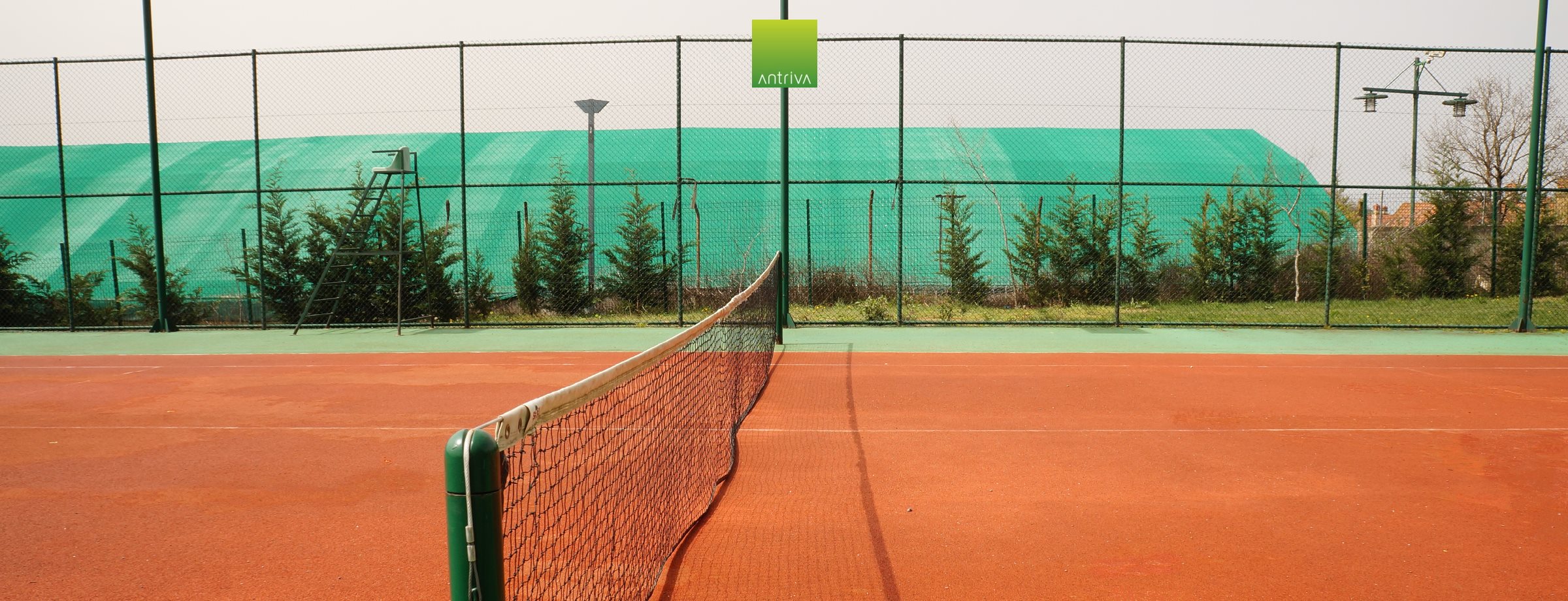 Tenis