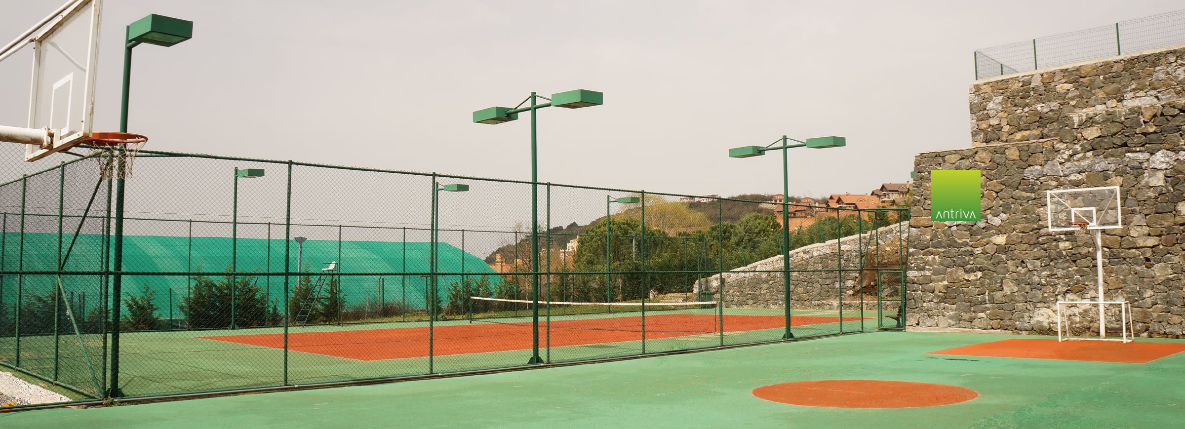 Tenis